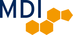 LOGO MDI